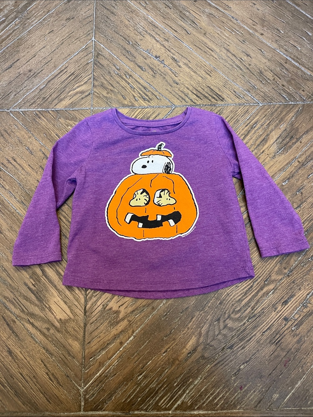Kids' Purple Long-Sleeve Halloween Tee with Pumpkin Snoopy Graphic